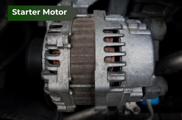 Starter Motor Starter Motor
